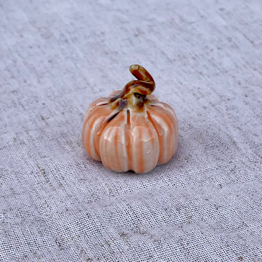 Mini Pumpkins